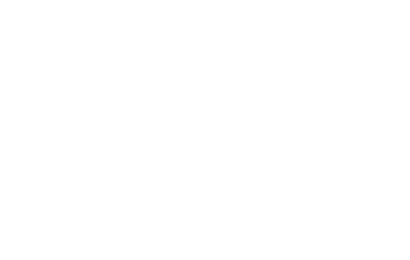 Ferrioni