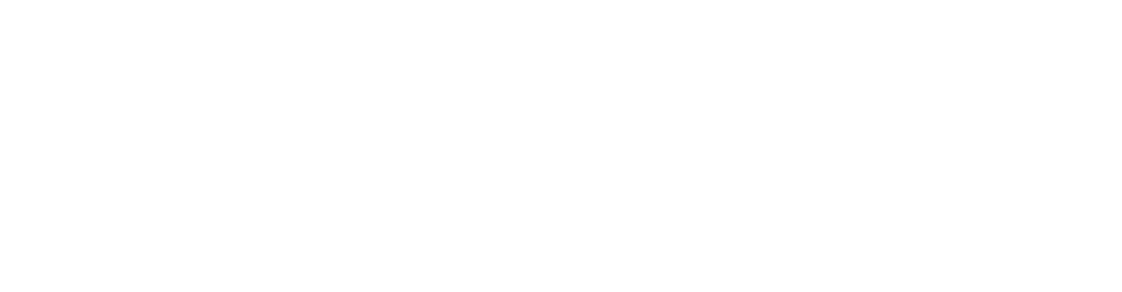 Joyerías Bizarro
