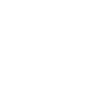 Holstone